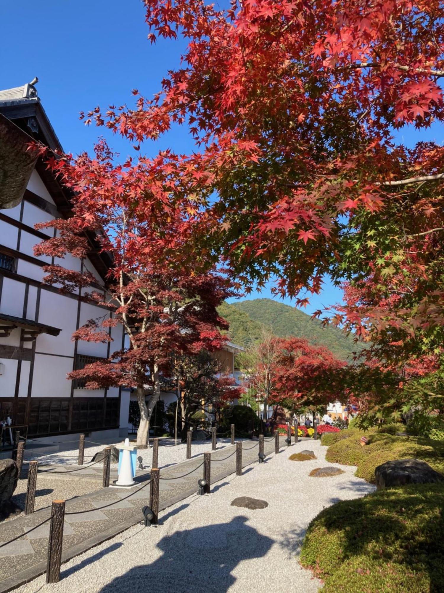 Sky Tree Inn Ⅱ（晴樹宿ⅱ） Tokio Buitenkant foto