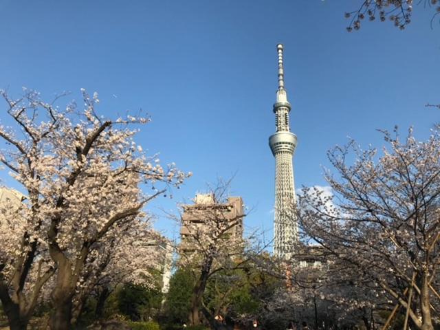 Sky Tree Inn Ⅱ（晴樹宿ⅱ） Tokio Buitenkant foto